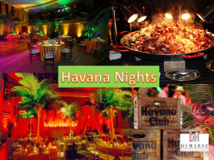 Havana Nights