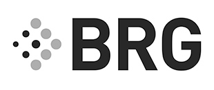 Berkley Research Group